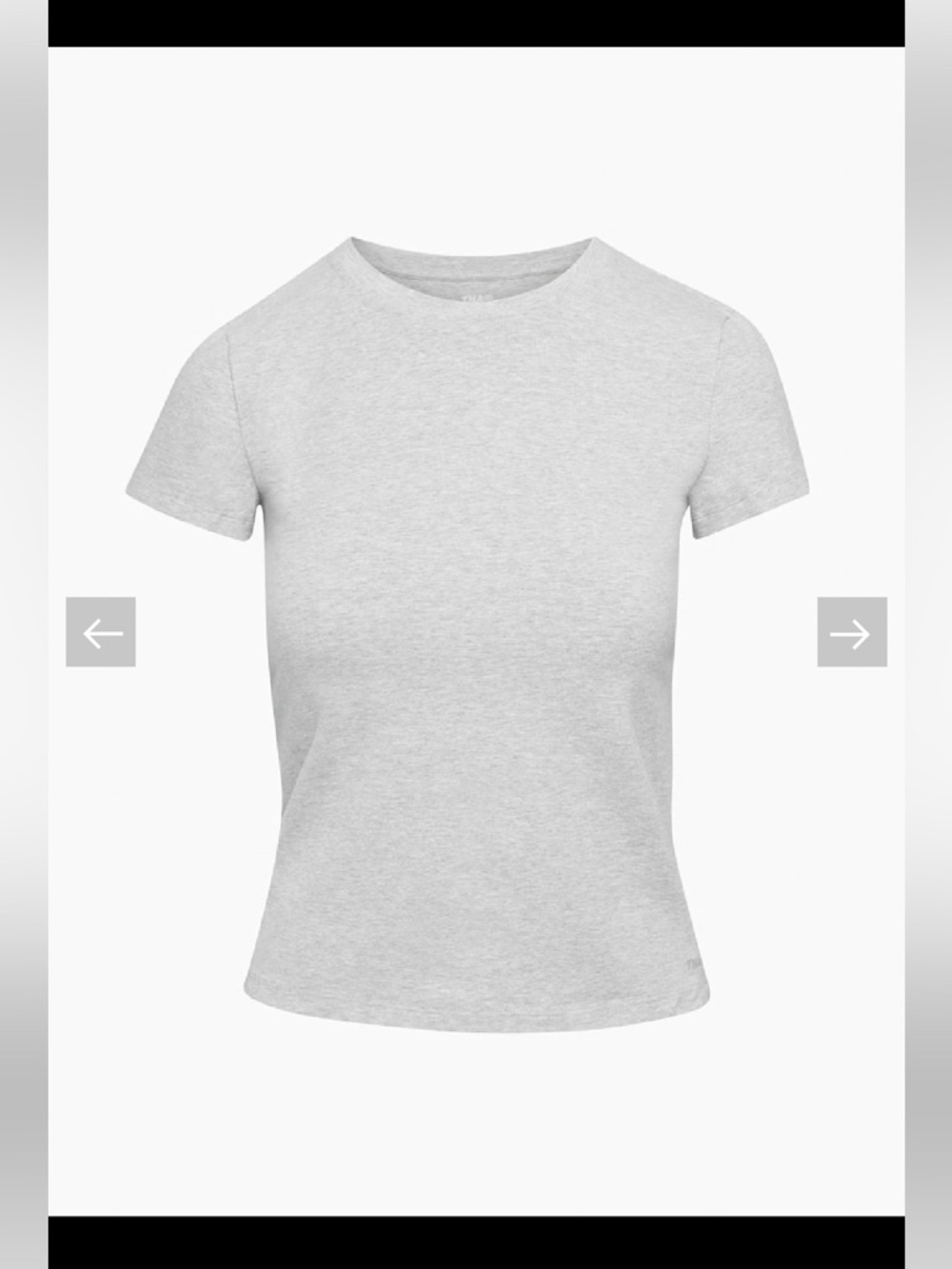 aritzia ortiz t-shirt in grey